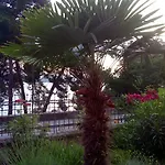 Sirena Apartment Zadar