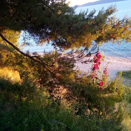 Studio Sirena Zadar