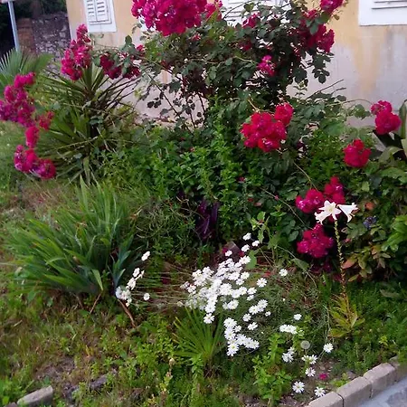 Studio Sirena Zadar
