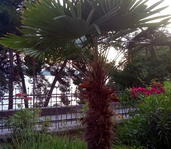 Studio Sirena Appartement Zadar